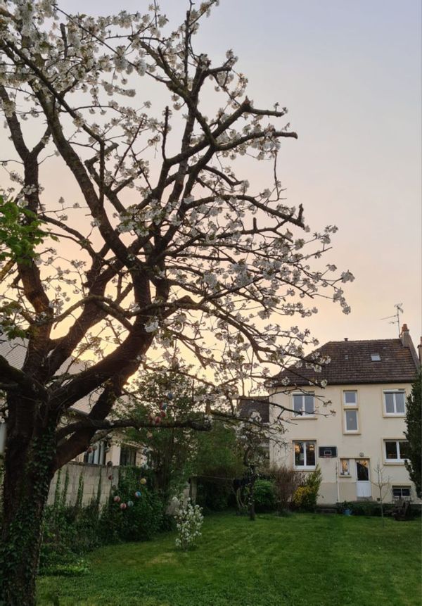 400m de Caen et bus de ville, le calme et la proximité des sites. The best of both worlds !