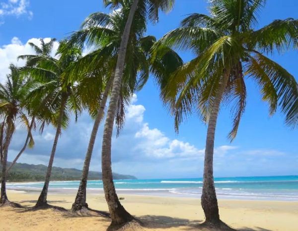 Penthouse caribéen avec vues exceptionnelles sur l’océan et les montagnes – Cosón / Rép. dom.