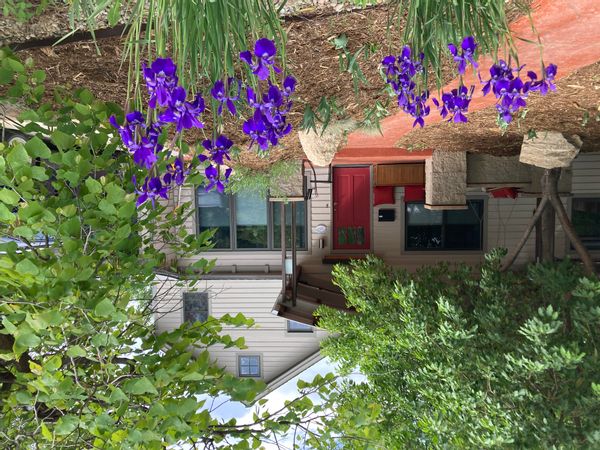 La maison de Josh