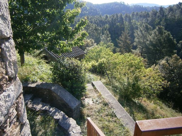 Un mas perdu en forêt