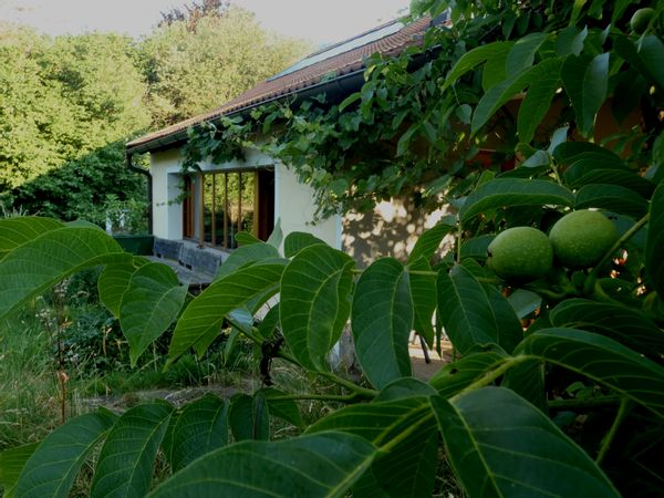 La maison de Rosmarie