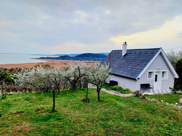 La maison de Georgie, Sándor, Krisztián
