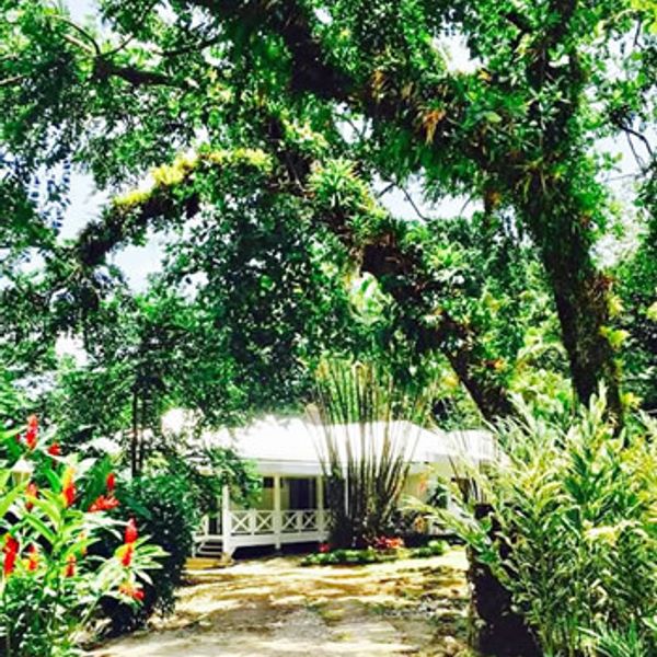 La maison de Nikki