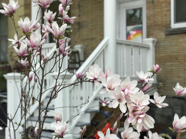 ***Cherche 1 semaine à Paris 28 juin -5 juillet *** Maison familiale avec jardin au cœur de Montréal
