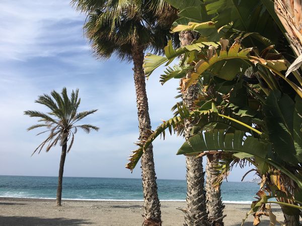 Tranquillo Appartement deux pieces accès direct piscine et plage !Si points - géré en conciergerie-