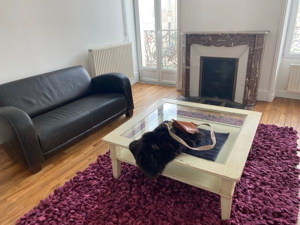 Appartement haussmannien rénové avec jardin en ville au cœur de la Bourgogne