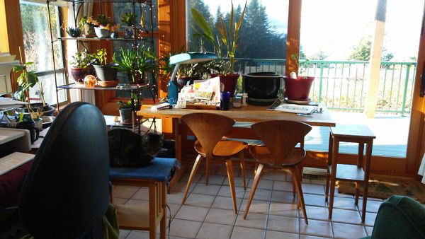La maison de Amy & Steven