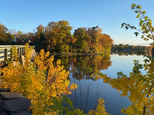 Petite Île paisible entre Montréal et Laurentides (Ouvert aux échanges réciproques seulement)