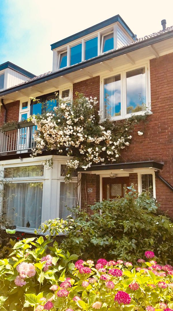La maison de Maarten