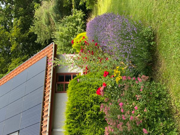 La maison de Trine