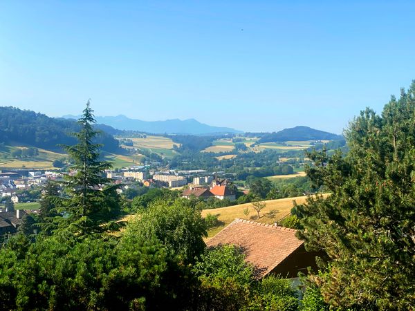 Belle maison avec vue sur les alpes vaudoises