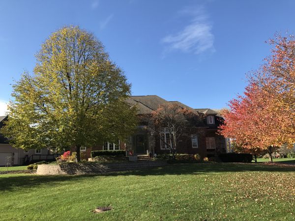 La maison de Alexander