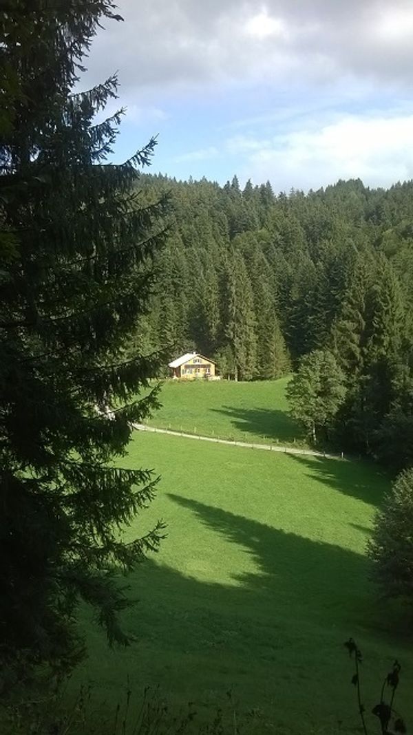 La maison de Harald