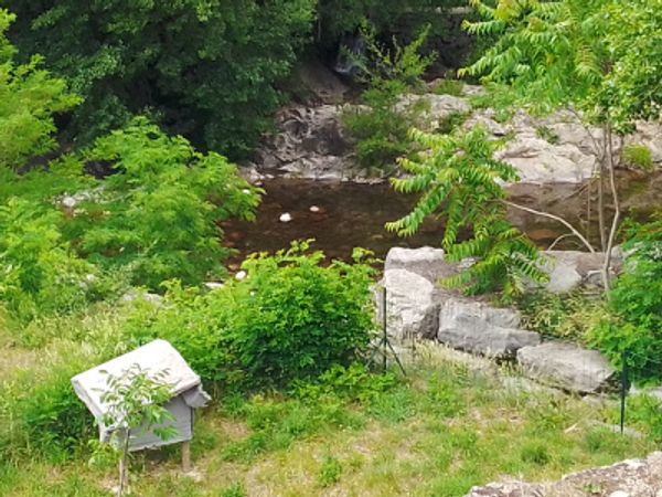 Maison en bord de rivière "Volane" avec accès privatif pour la baignade. A 45 minutes de la grotte Chauvet et du Mont Gerbier des Joncs. Petits commerces et Toutenbus à proximité. A quelques minutes du parc de Vals les bains et de sa piscine municipale.