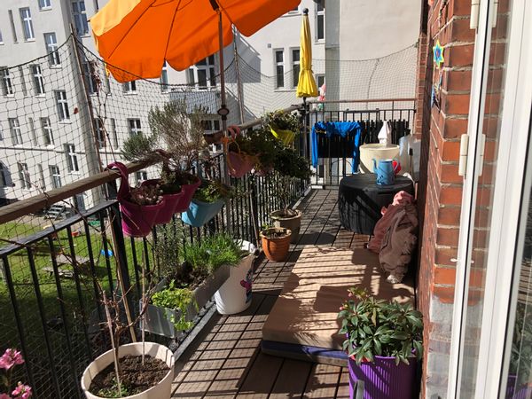 La maison de Brian