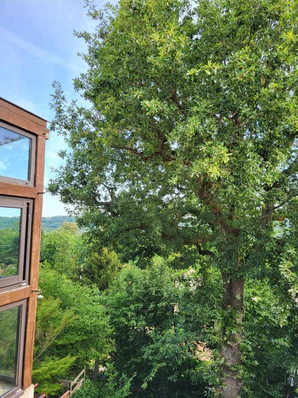 Maison avec terrasse de 70m2 à Orsay