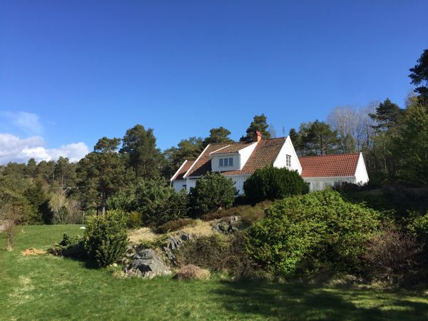 Skjærmerende h