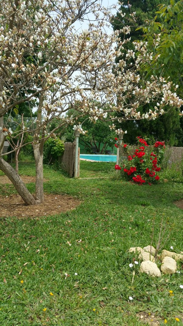 Mi casa