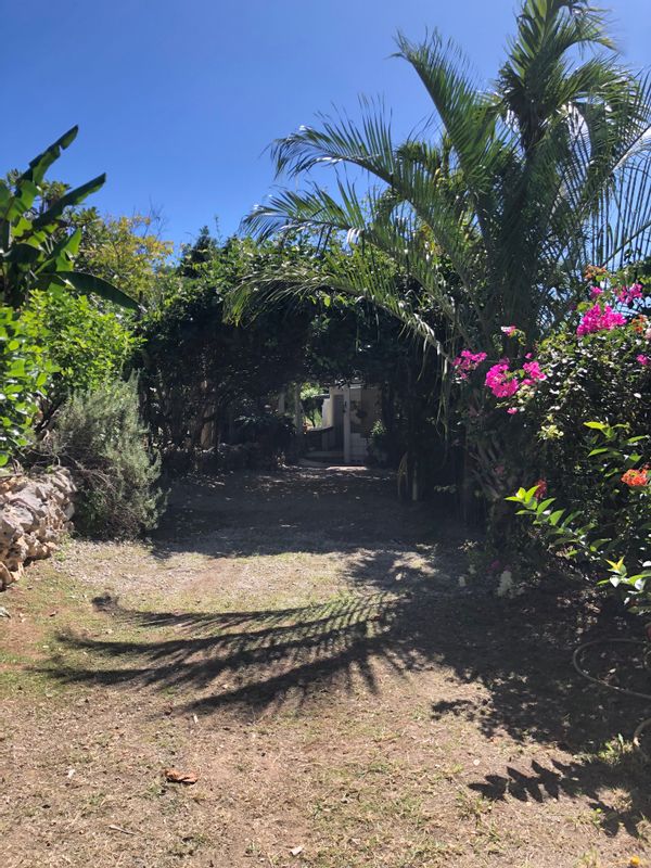 Bungalow spacieux vue mer entouré d'un jardin tropical