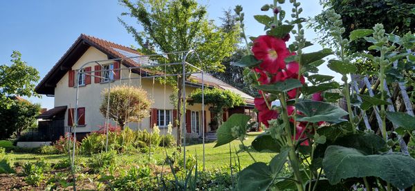 La maison de Domitille