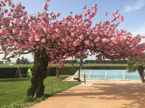 Maison en Drôme provençale Échange de 2 semaines pour l’été