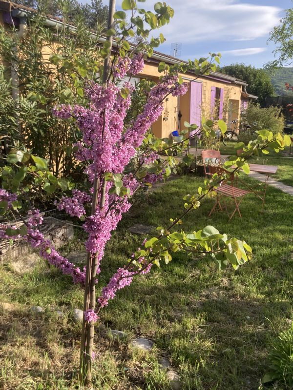 Maison situé au calme en nature entre la rivière Drôme et le joli village perché de Mirabel. 6 pers