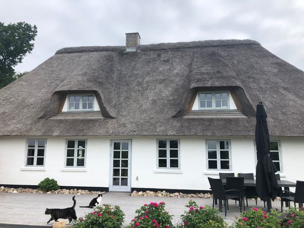 La maison de Lotte
