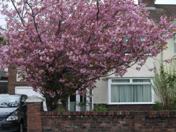 maison à Liverpool, United Kingdom