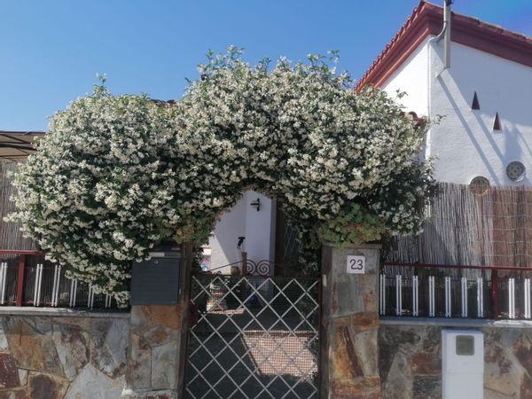La maison de Oriol