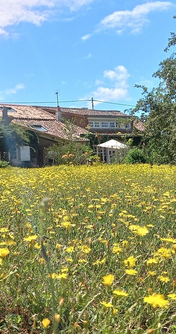 Maison de campagne à Vivonne
