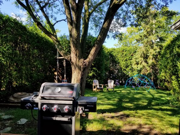 Urban family cottage in Ottawa's trendiest neighbourhood