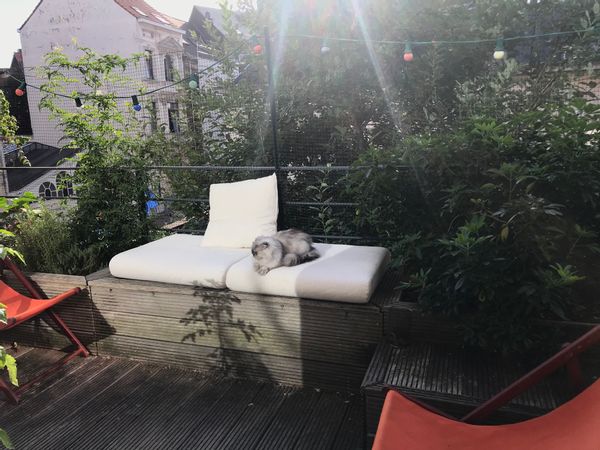 Appartement bohème au chatelain + chats