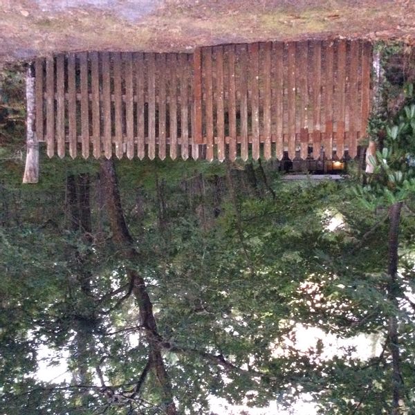Cabane en forêt