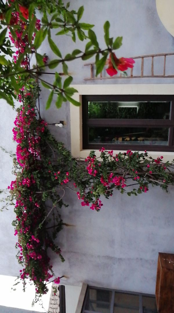 La maison de chiara
