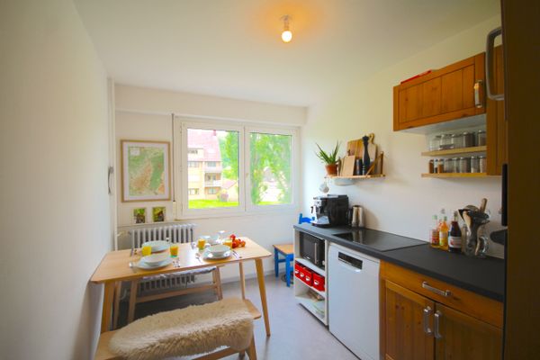 Escapade au coeur du parc naturel des Vosges - Appartement familial ideal rando et decouvertes