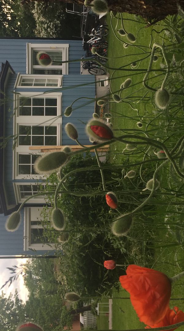 La maison de Natalie