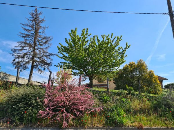 Maison avec jardin