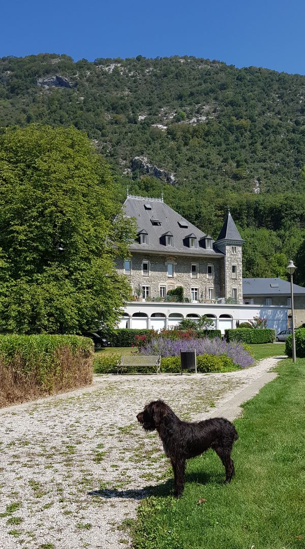 Vie de Château dans les Alpes Françaises, Challes Les Eaux, Savoie