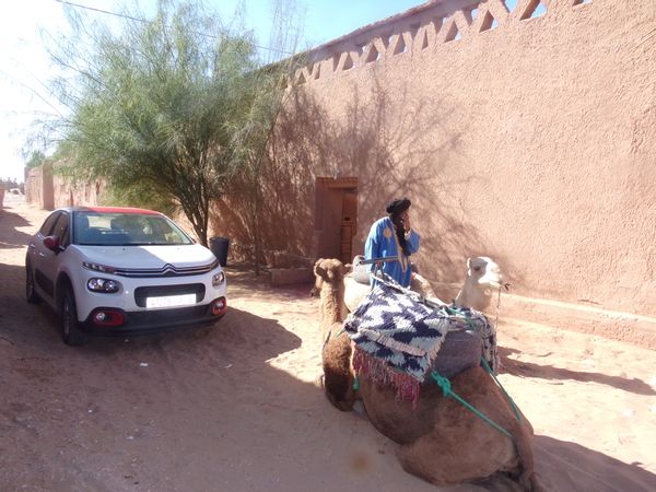 Dar local nomade family