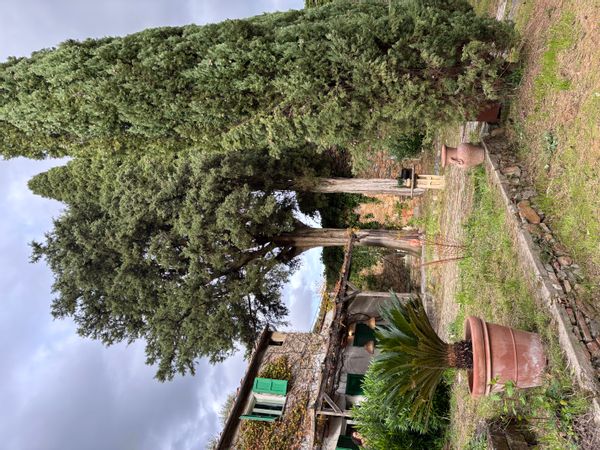 Charmante petite maison en Toscane avec jardin
