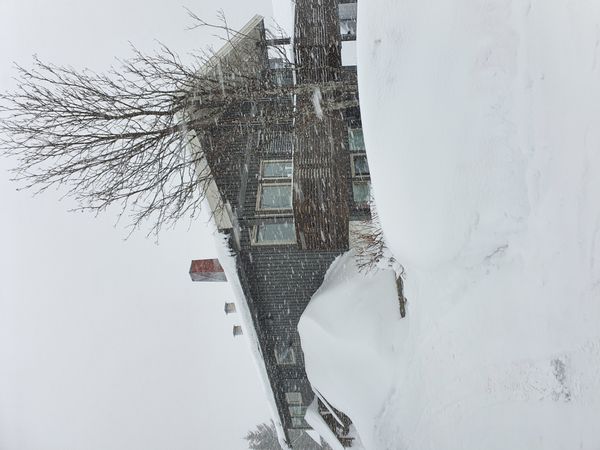 La maison de Stig Lennarth