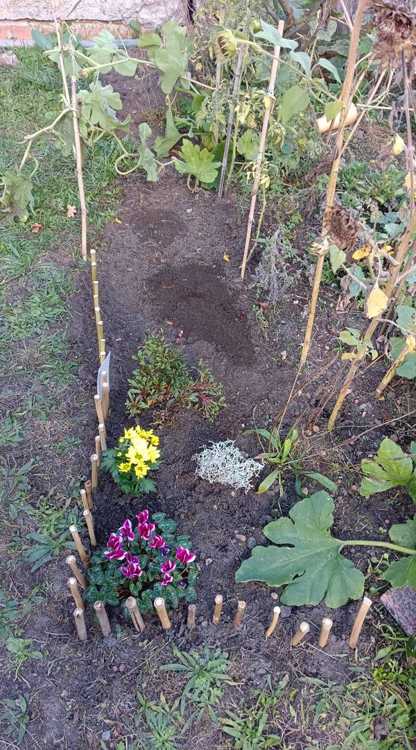 T2/T3 avec jardin et terasse