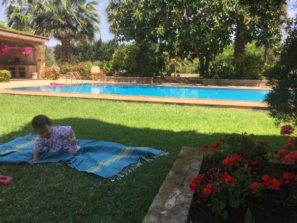 Villa en pierre apparente et large piscine au milieu d'une orangeraie - Hammamet (Min 6+ nuits. Contre GuestPoints uniquement)