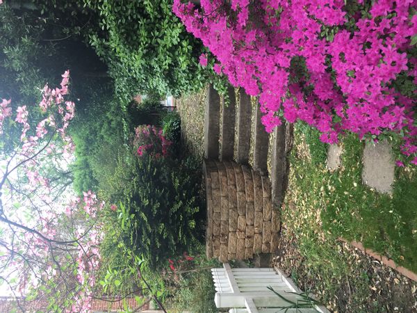 La maison de Selma