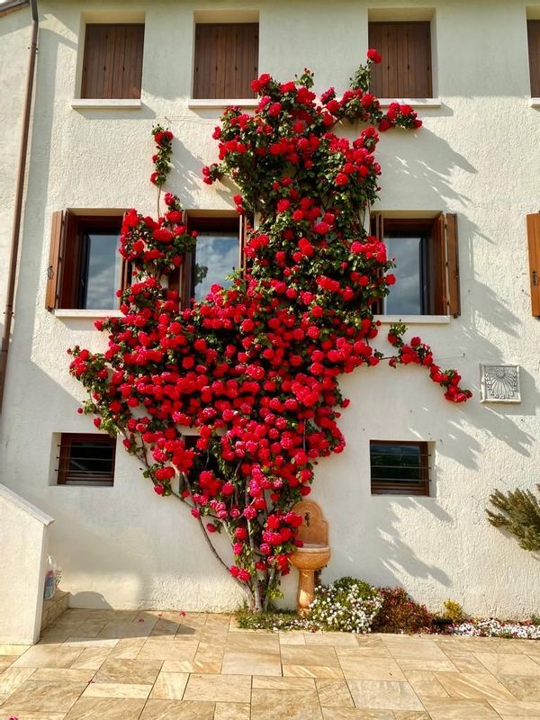 La maison de Gianluca