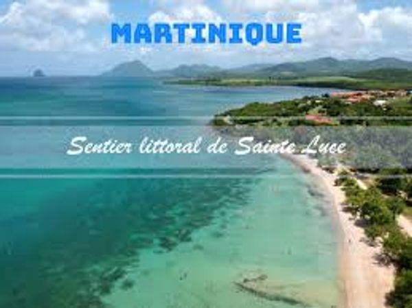 Le studio du Manguier