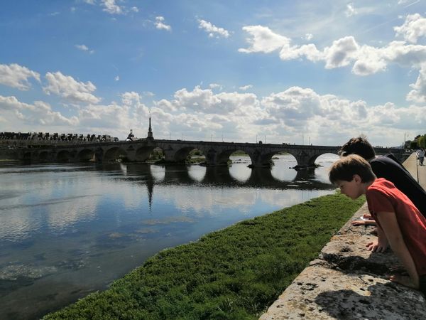 Entre Chambord et Blois