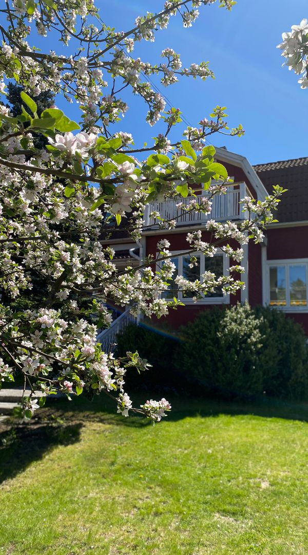 La maison de Catherine