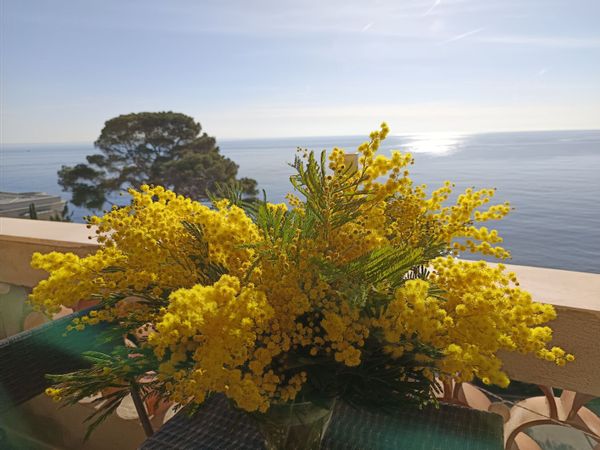 VILLA ☀️ soleil Aux portes de MONACO/MONTE-CARLO