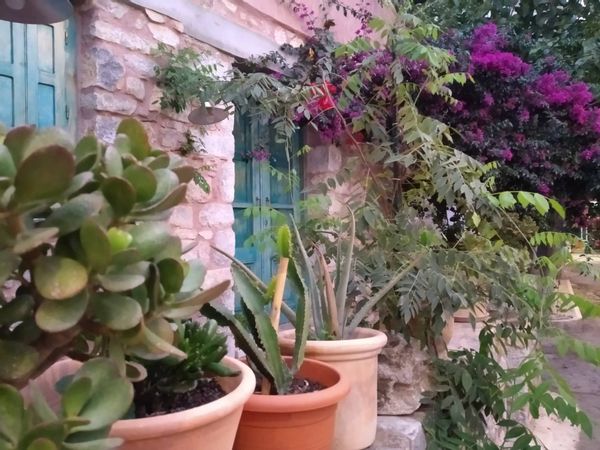 La maison de Nikos